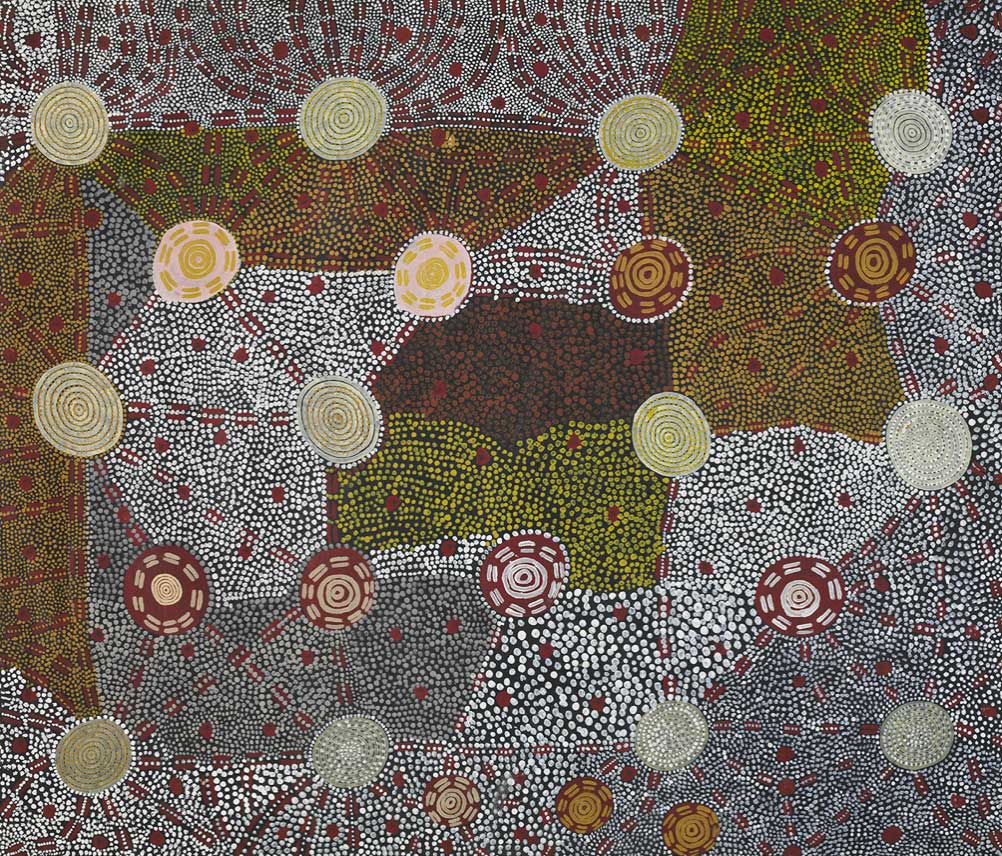 Indigenous people’s knowledge, science research and an Academy grant help unlock the mystery of ‘fairy circles’